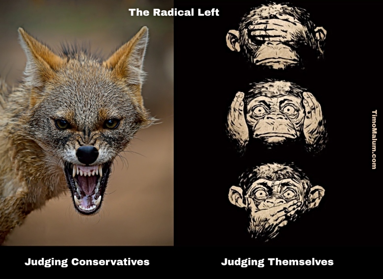 meme about the radical left