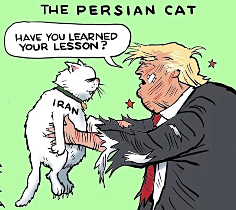 Steve Breen cartoon about Donald Trump portrays Iran as a cat scratching Trumps face