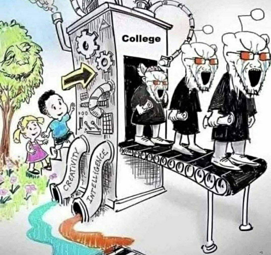 meme about how colleges destroy people and turn them into indoctrinated robots