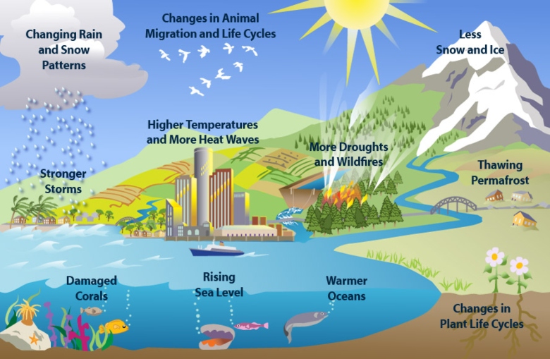 climate change graphic