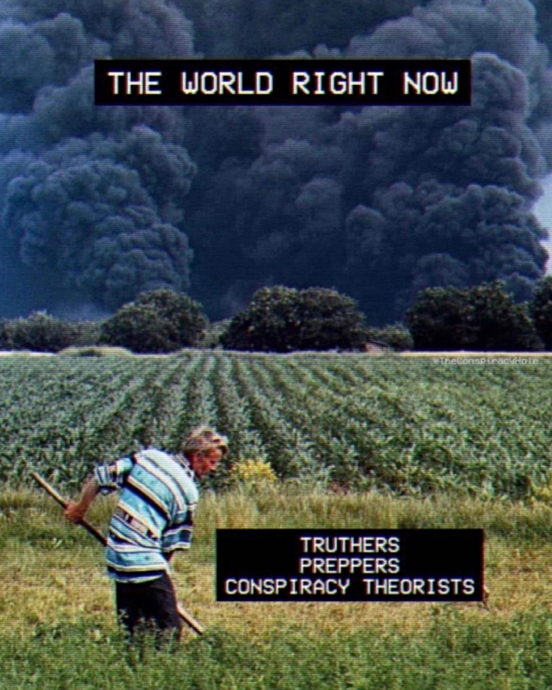 meme: the world right now