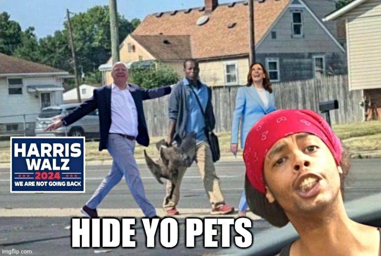 hide yo pets