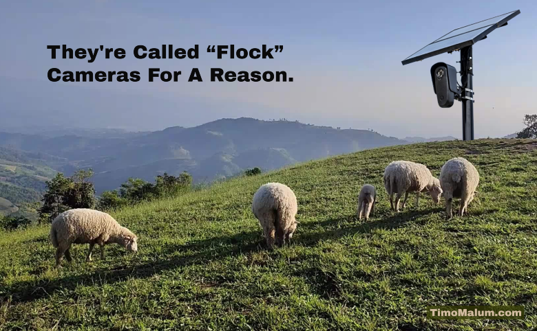 meme of a flock camera spying on sheep
