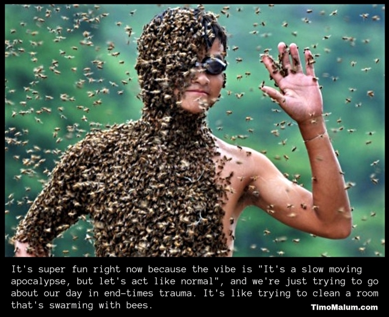 meme about a slow moving apocalypse with bees