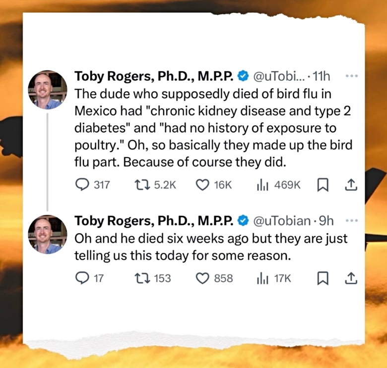 Toby Rogers bird flu tweet